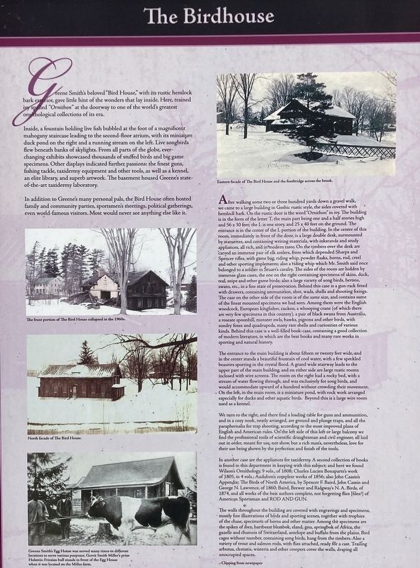 The Bird House image. Click for full size.