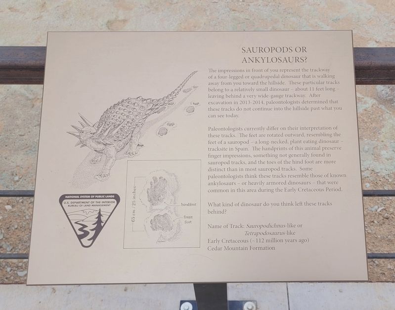 Sauropods or Ankylosaurs? Marker. Click for full size. Sauropods or Ankylosaurs? Marker image. Click for full size.
