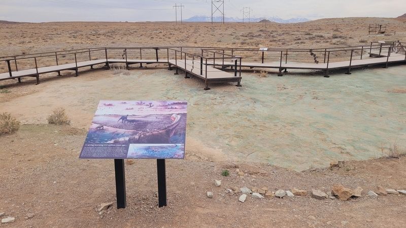 The view of the trackway and marker from the walkway. Click for full size. The view of the trackway and marker from the walkway image. Click for full size.