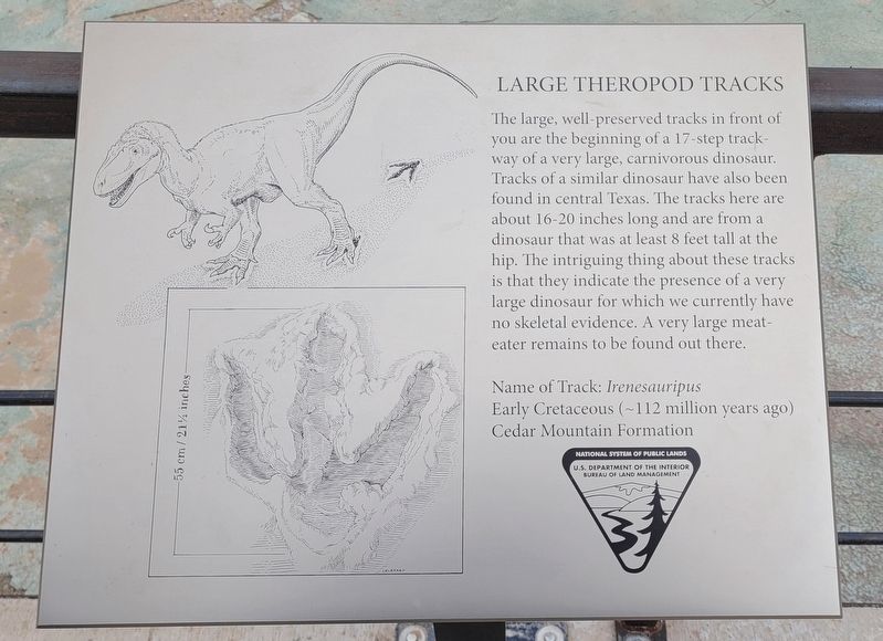 Large Theropod Tracks Marker. Click for full size. Large Theropod Tracks Marker image. Click for full size.