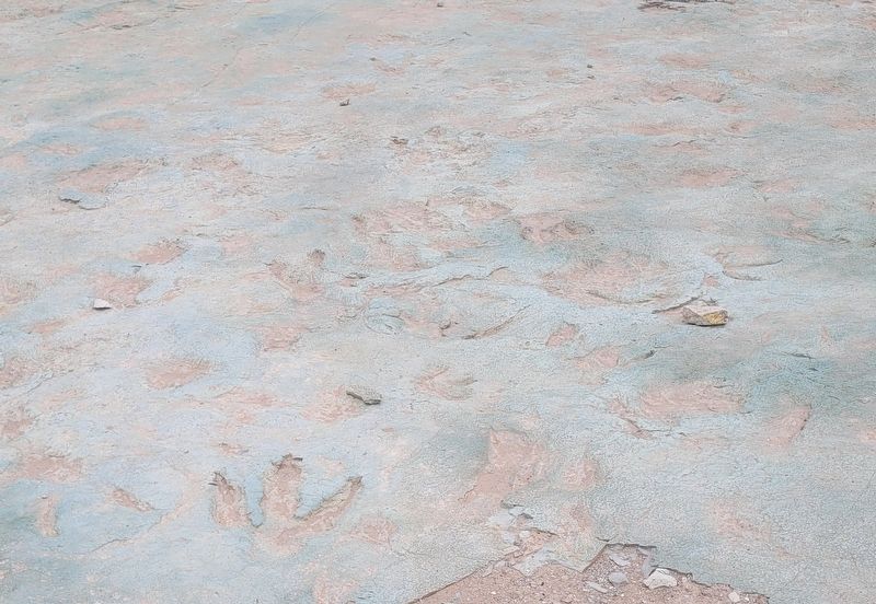Closeup of the Large Theropod Tracks. Click for full size. Closeup of the Large Theropod Tracks image. Click for full size.