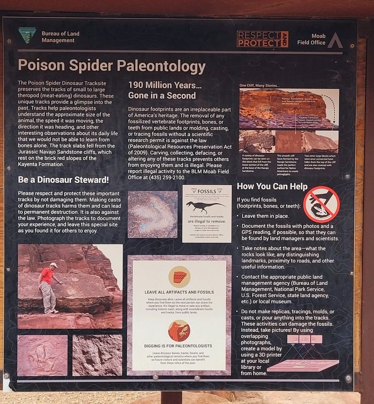 Poison Spider Paleontology Marker. Click for full size. Poison Spider Paleontology Marker image. Click for full size.
