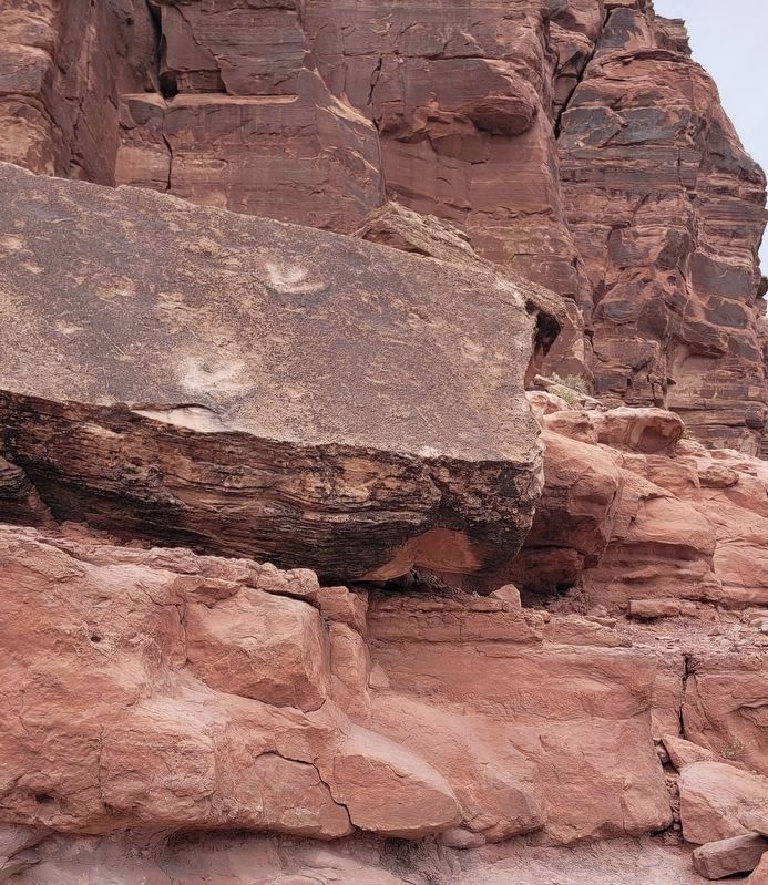 Poison Spider Dinosaur Tracksite. Click for full size. Poison Spider Dinosaur Tracksite image. Click for full size.