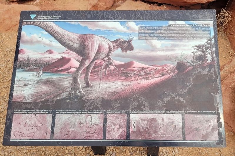 Traces from an Ancient Desert Realm Marker image. Click for full size.