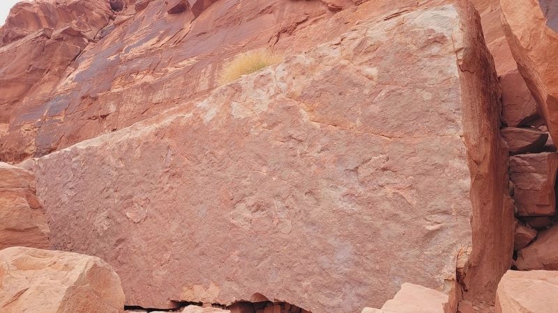 Multiple dinosaur tracks on this stone image. Click for full size.