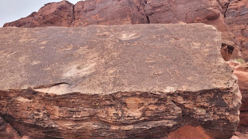 Stone with dinosaur tracks image. Click for full size.