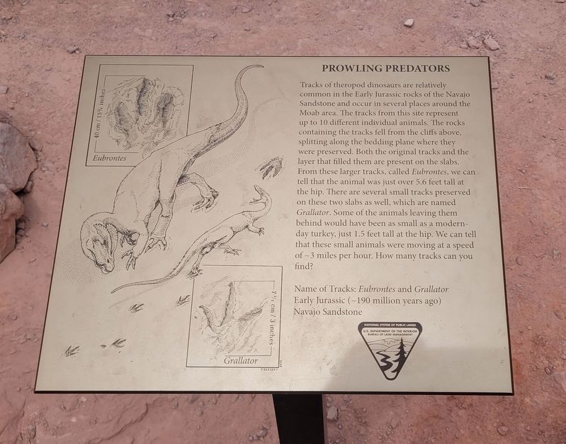 Prowling Predators Marker image. Click for full size.