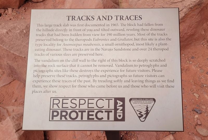 Tracks and Traces Marker. Click for full size. Tracks and Traces Marker image. Click for full size.