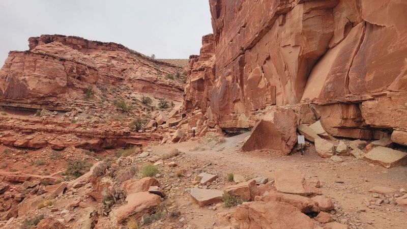The view of the Tracks and Traces Marker along the canyon wall trail. Click for full size. The view of the Tracks and Traces Marker along the canyon wall trail image. Click for full size.