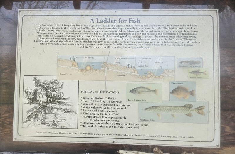 A Ladder for Fish Marker image. Click for full size.