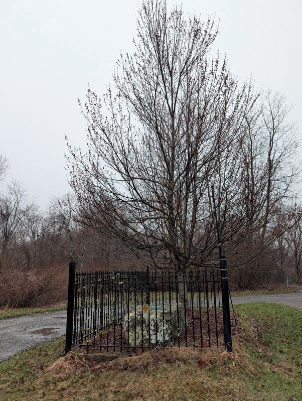 "Lee Tree" Marker. Click for full size. "Lee Tree" Marker image. Click for full size.