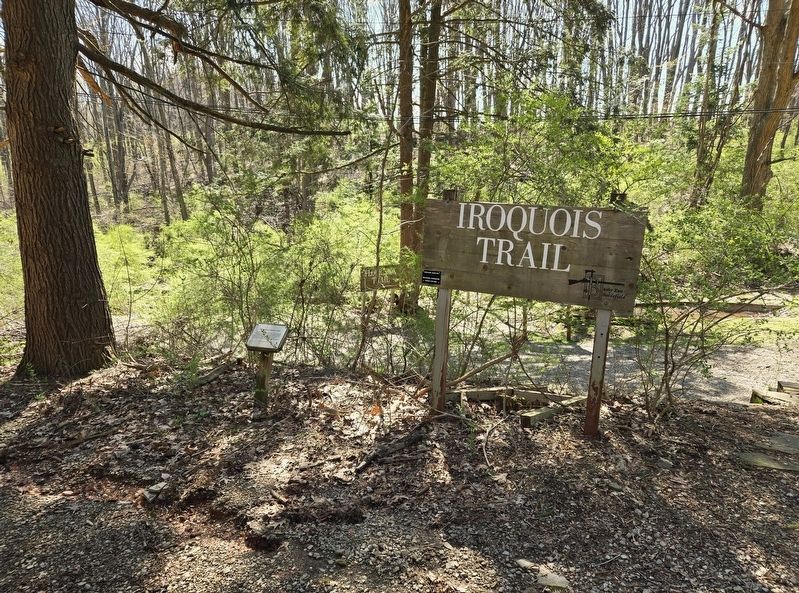 The Iroquois Nature Trail Marker. Click for full size. The Iroquois Nature Trail Marker image. Click for full size.