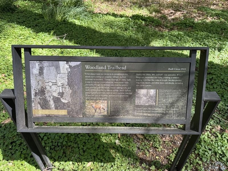 Woodland Trailhead Marker image. Click for full size.