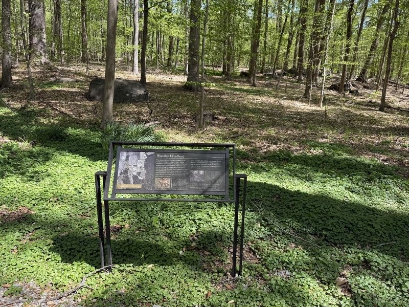 Woodland Trailhead Marker image. Click for full size.