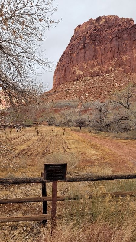 The view of the Mott Orchard and Marker along the street image. Click for full size.