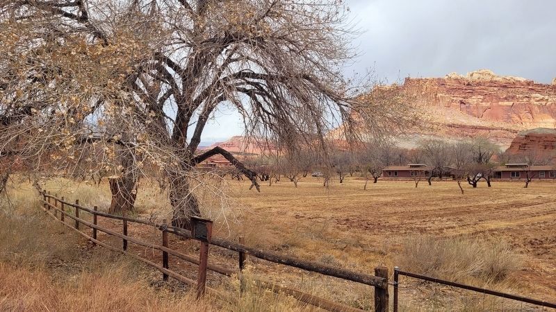 The view of the Mott Orchard, Brimhall House and Marker image. Click for full size.