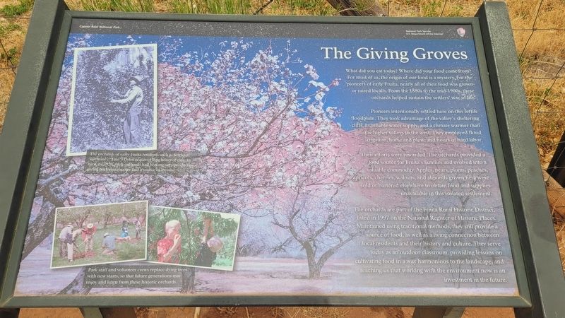 The Giving Groves Marker. Click for full size. The Giving Groves Marker image. Click for full size.