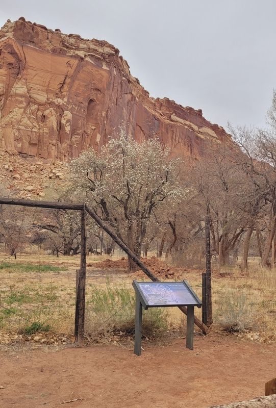 The Giving Groves Marker. Click for full size. The Giving Groves Marker image. Click for full size.