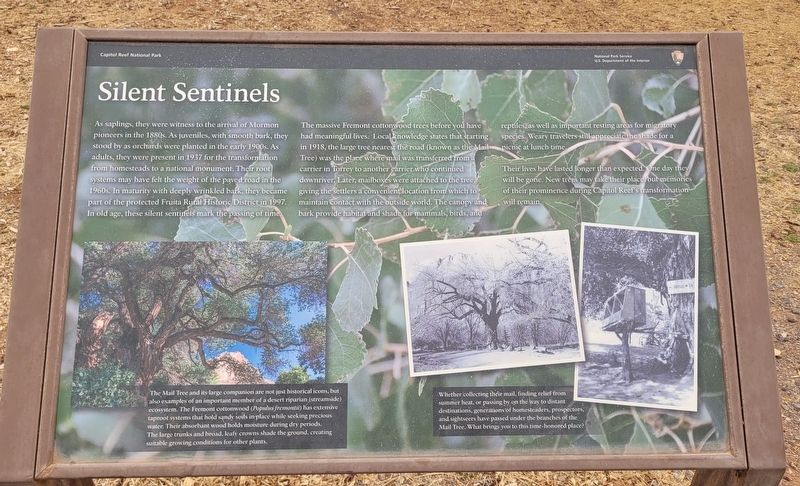 Silent Sentinels Marker. Click for full size. Silent Sentinels Marker image. Click for full size.