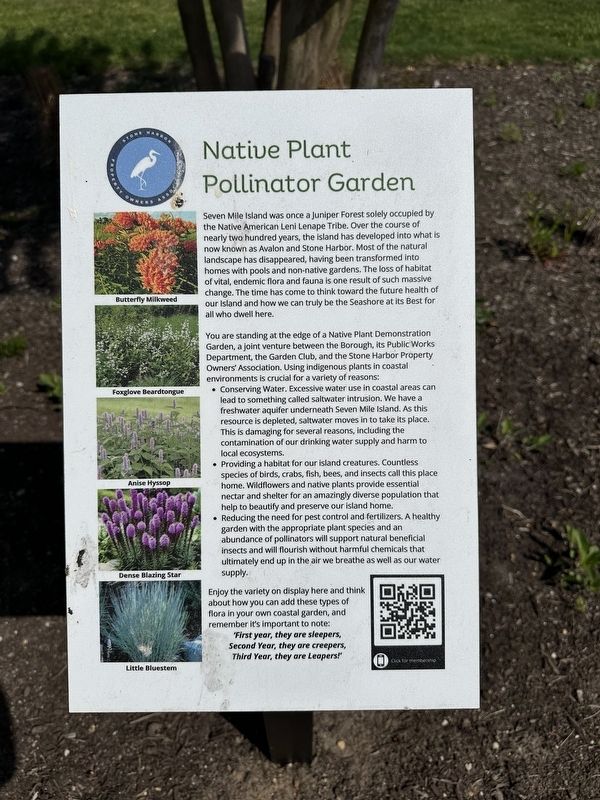 Native Plant Pollinator Garden Marker. Click for full size. Native Plant Pollinator Garden Marker image. Click for full size.