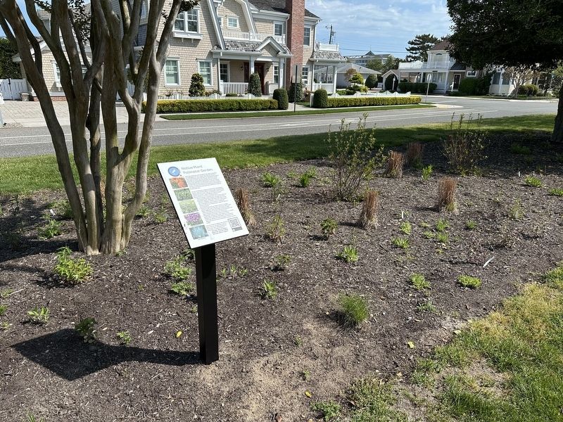 Native Plant Pollinator Garden Marker - wide view. Click for full size. Native Plant Pollinator Garden Marker - wide view image. Click for full size.