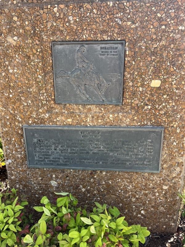 Steamboat Marker. Click for full size. Steamboat Marker image. Click for full size.