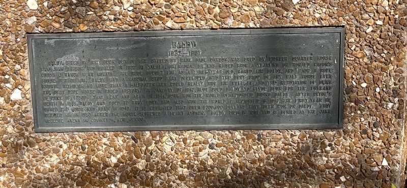 Baldy Marker. Click for full size. Baldy Marker image. Click for full size.