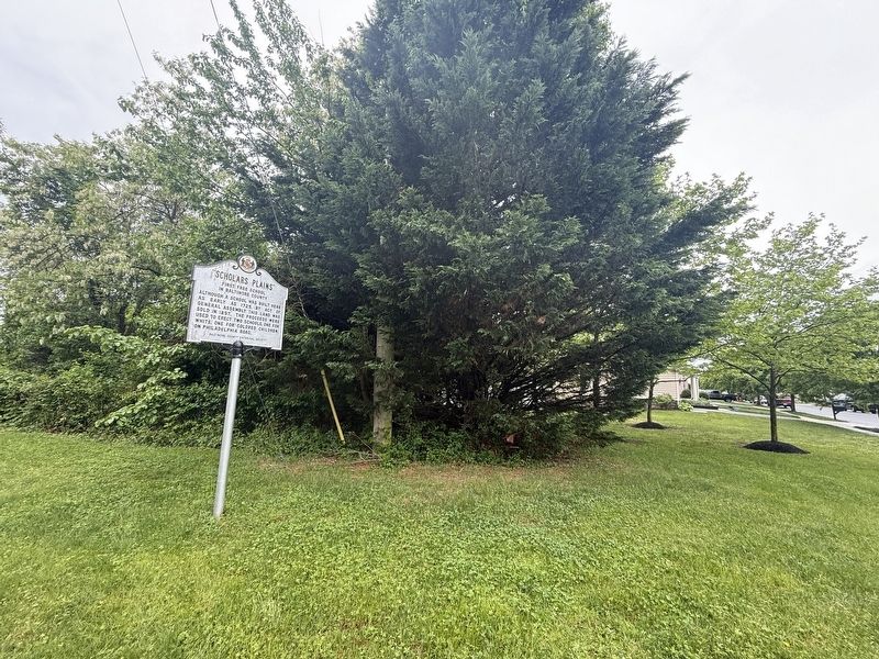 "Scholars Plains" Marker. Click for full size. "Scholars Plains" Marker image. Click for full size.