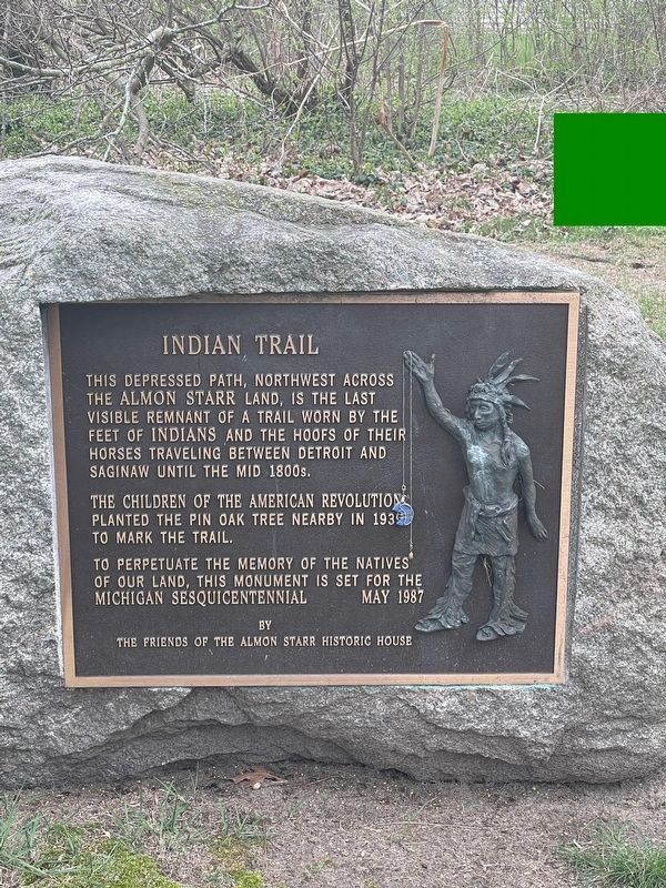 Saginaw Trail Historical Marker. Click for full size. Saginaw Trail Historical Marker image. Click for full size.
