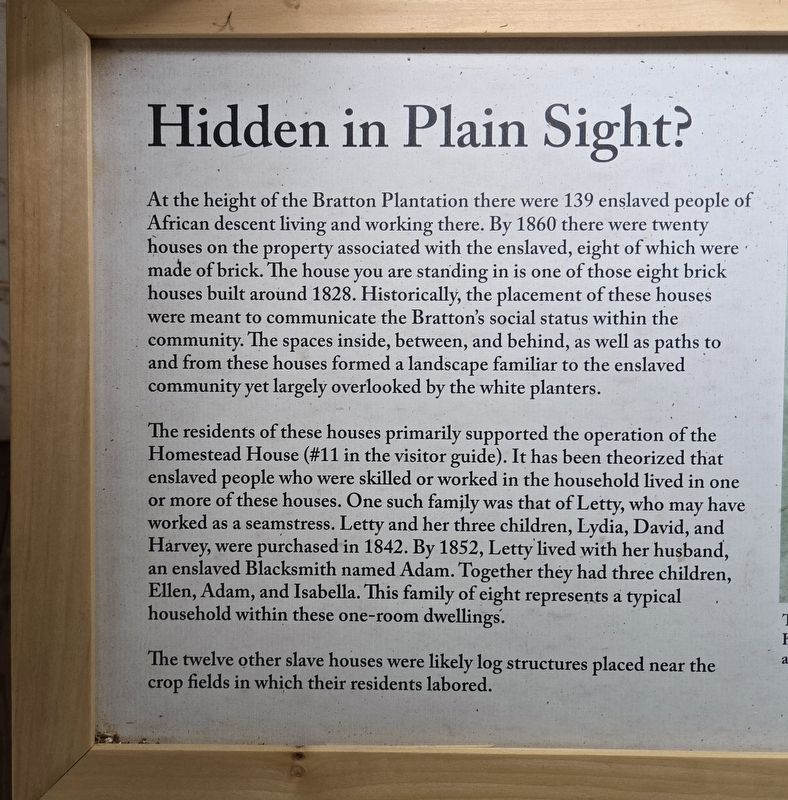 Hidden in Plain Sight?. Click for full size. Hidden in Plain Sight? image. Click for full size.