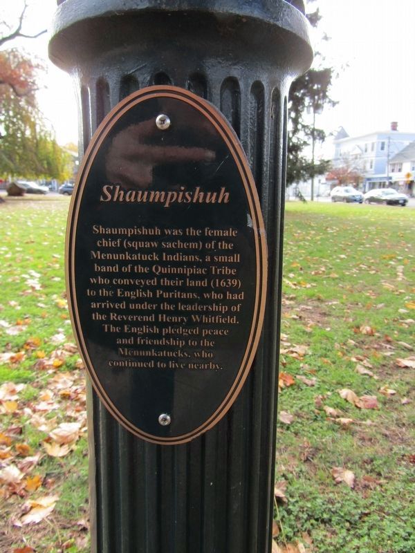 Shaumpishuh Marker. Click for full size. Shaumpishuh Marker image. Click for full size.