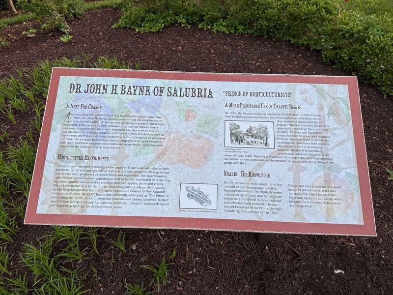 Dr. John H. Bayne of Salubria “Prince of Horticulture” Marker. Click for full size. Dr. John H. Bayne of Salubria “Prince of Horticulture” Marker image. Click for full size.