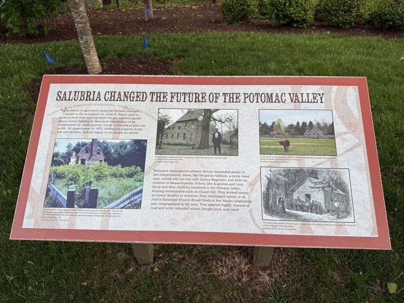 Salubria Changed the Future of the Potomac Valley Marker. Click for full size. Salubria Changed the Future of the Potomac Valley Marker image. Click for full size.