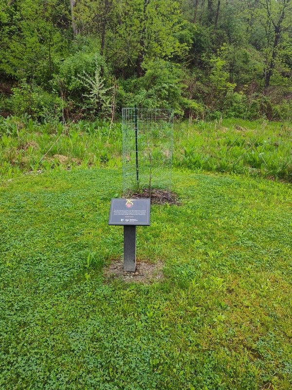 Ohio Department of Natural Resources 75th Anniversary Marker image. Click for full size.