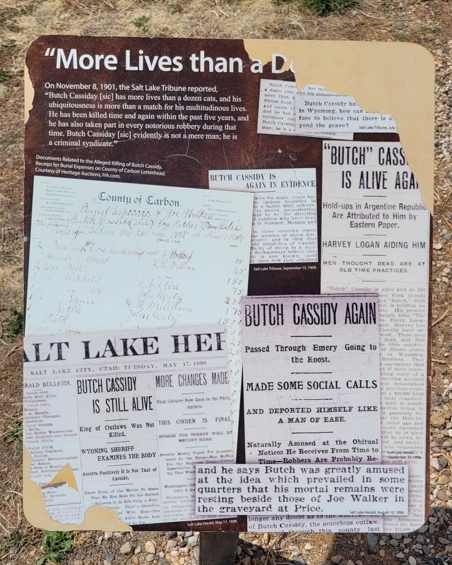 "More lives than a dozen cats" Marker image. Click for full size.