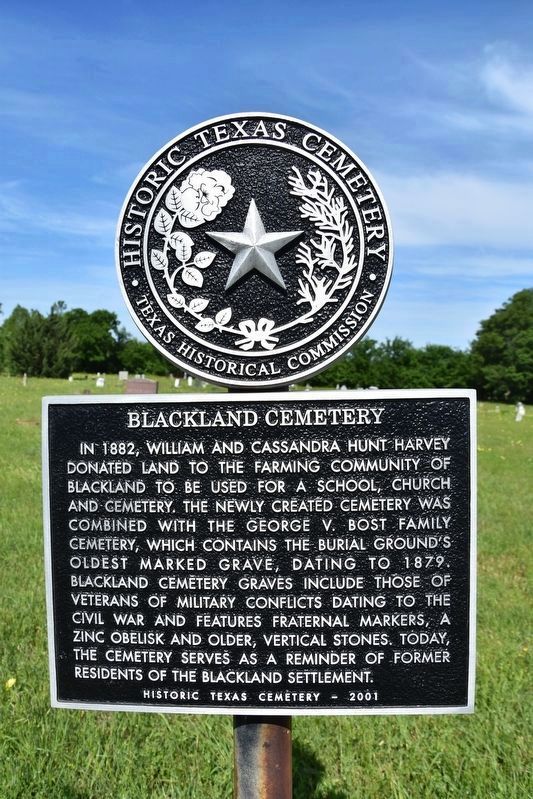 Blackland Cemetery Marker image. Click for full size.