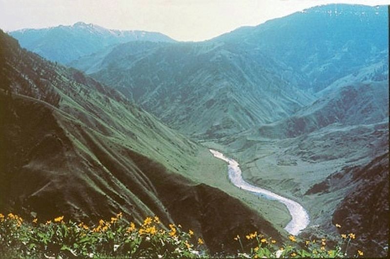Snake River flowing through the canyon. Click for full size. Snake River flowing through the canyon image. Click for full size.
