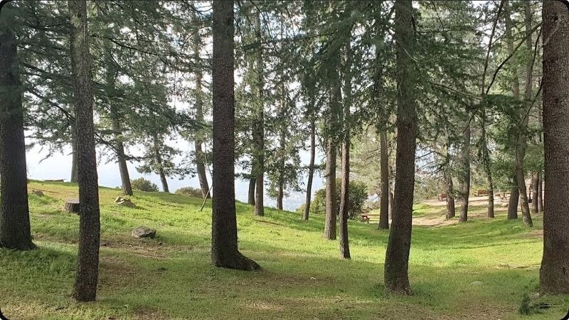 Henninger Flats Forestry Station. Click for full size. Henninger Flats Forestry Station image. Click for full size.