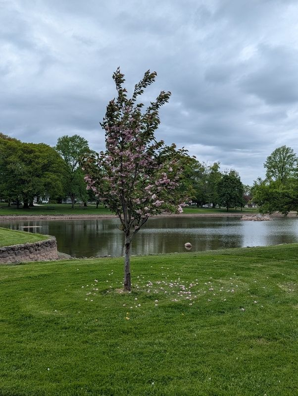 Hoopes Park view within the park. Click for full size. Hoopes Park view within the park image. Click for full size.