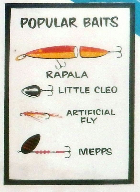 Marker detail: Popular Baits. Click for full size. Marker detail: Popular Baits image. Click for full size.