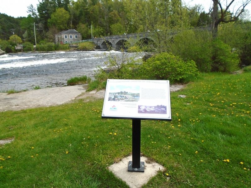 Pakenham's Early Growth Marker image. Click for full size.