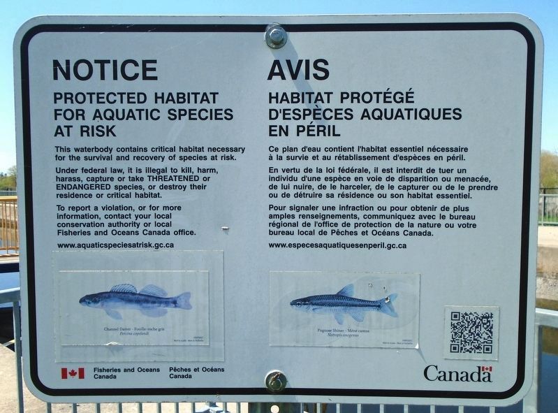 Nearby Trent River Protected Habitat Notice Marker. Click for full size. Nearby Trent River Protected Habitat Notice Marker image. Click for full size.