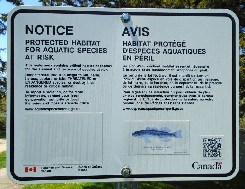 Nearby Trent River Protected Habitat Notice Marker. Click for full size. Nearby Trent River Protected Habitat Notice Marker image. Click for full size.
