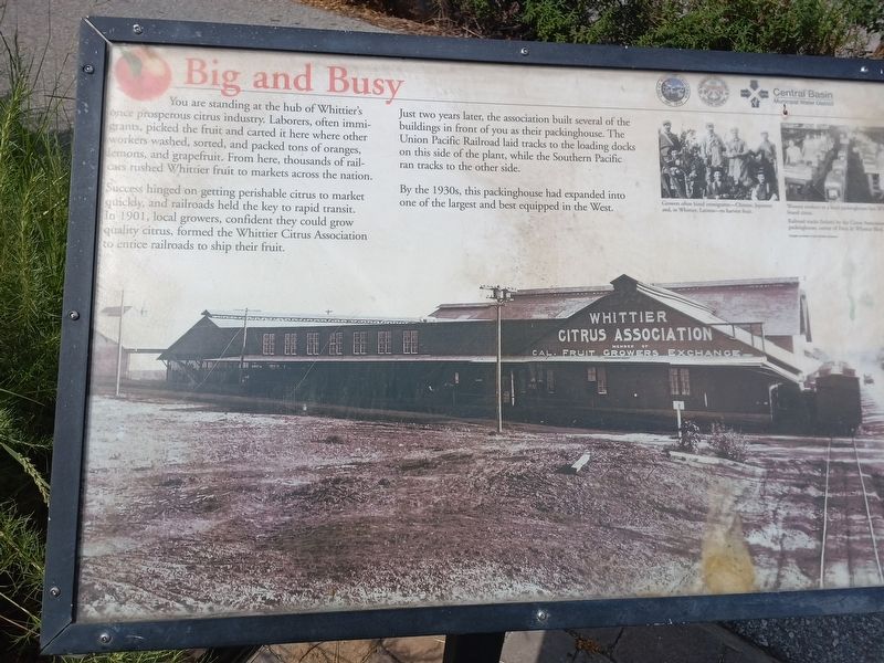 Whittier Citrus Association Marker image. Click for full size.