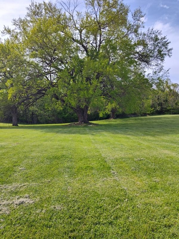 Witness Tree Marker. Click for full size. Witness Tree Marker image. Click for full size.