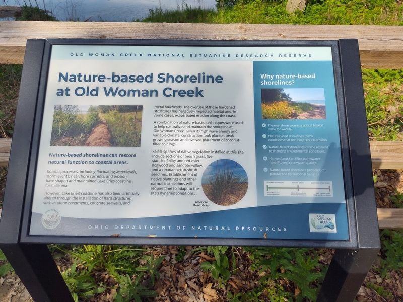 Nature-based shorelines can restore natural function to coastal areas. Marker. Click for full size. Nature-based shorelines can restore natural function to coastal areas. Marker image. Click for full size.