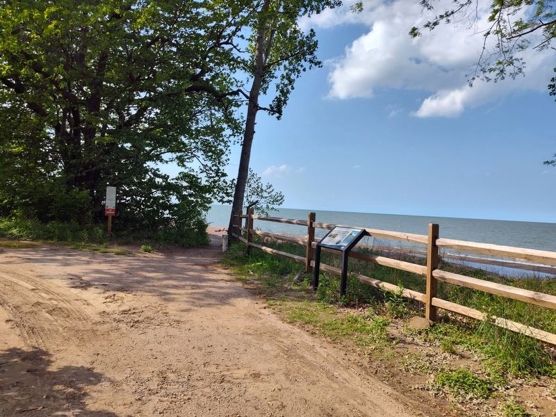 Nature-based shorelines can restore natural function to coastal areas. Marker. Click for full size. Nature-based shorelines can restore natural function to coastal areas. Marker image. Click for full size.
