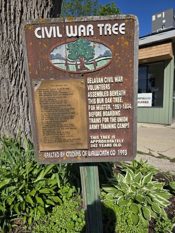 Civil War Tree Marker image. Click for full size.