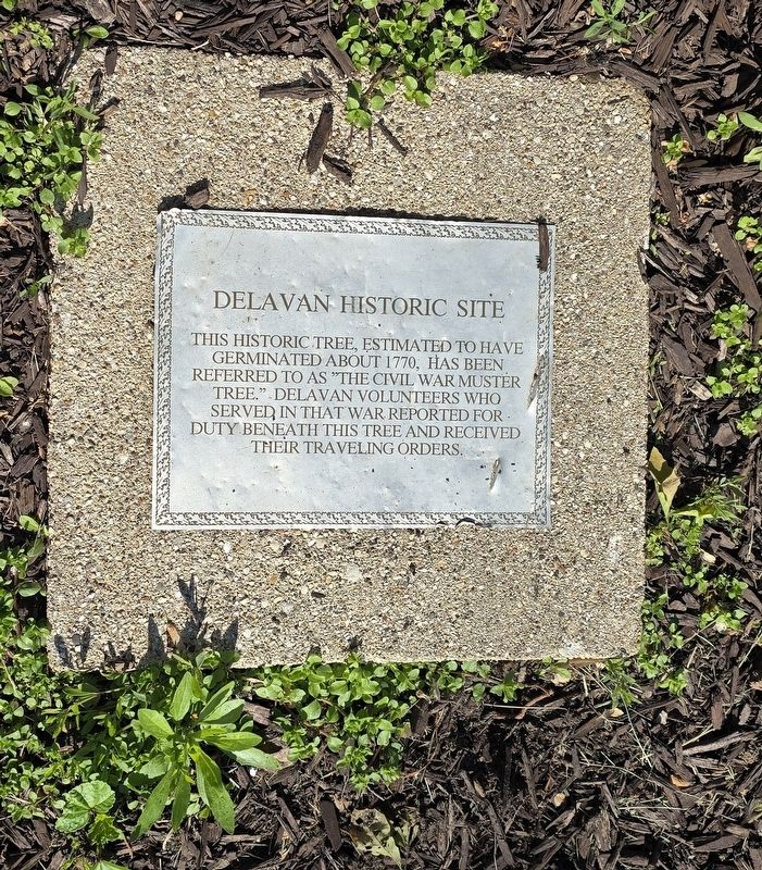 Delavan Historic Site image. Click for full size.