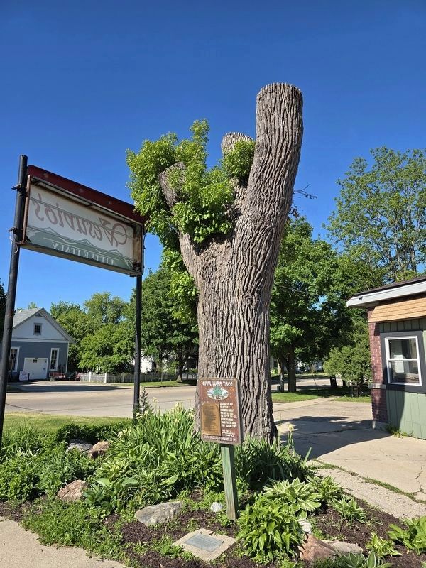 Civil War Tree and Marker image. Click for full size.